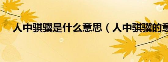 人中骐骥是什么意思（人中骐骥的意思）