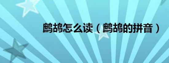鹧鸪怎么读（鹧鸪的拼音）