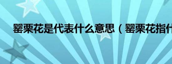 罂栗花是代表什么意思（罂栗花指什么）