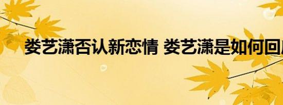 娄艺潇否认新恋情 娄艺潇是如何回应的