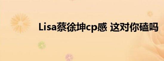 Lisa蔡徐坤cp感 这对你磕吗