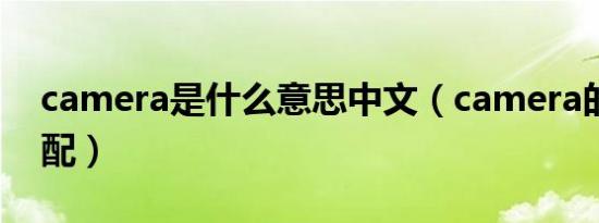 camera是什么意思中文（camera的短语搭配）