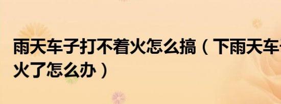 雨天车子打不着火怎么搞（下雨天车子打不着火了怎么办）