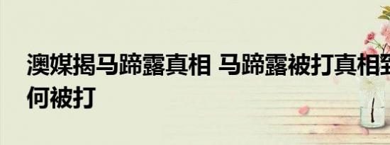 澳媒揭马蹄露真相 马蹄露被打真相到底是为何被打