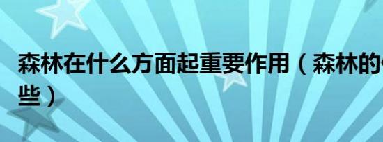森林在什么方面起重要作用（森林的作用有哪些）