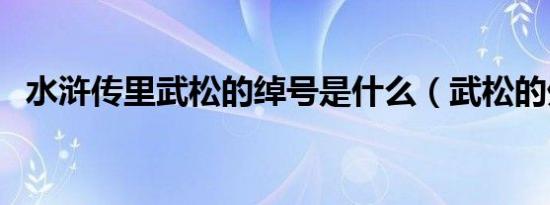 水浒传里武松的绰号是什么（武松的外号）