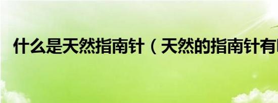 什么是天然指南针（天然的指南针有哪些）