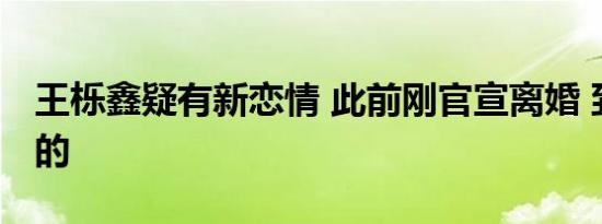 王栎鑫疑有新恋情 此前刚官宣离婚 到底怎样的