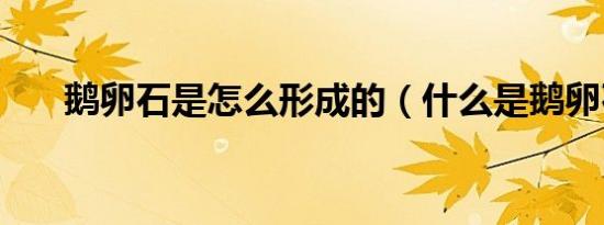 鹅卵石是怎么形成的（什么是鹅卵石）