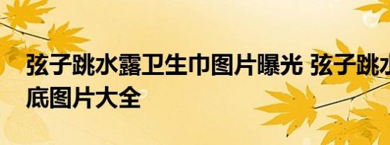 弦子跳水露卫生巾图片曝光 弦子跳水凸点露底图片大全