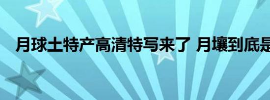 月球土特产高清特写来了 月壤到底是啥样