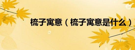 梳子寓意（梳子寓意是什么）