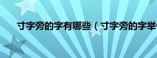 寸字旁的字有哪些（寸字旁的字举例）