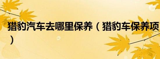 猎豹汽车去哪里保养（猎豹车保养项目有哪些）