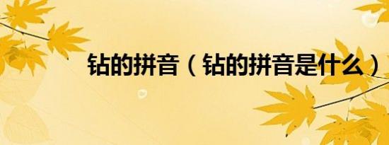 钻的拼音（钻的拼音是什么）