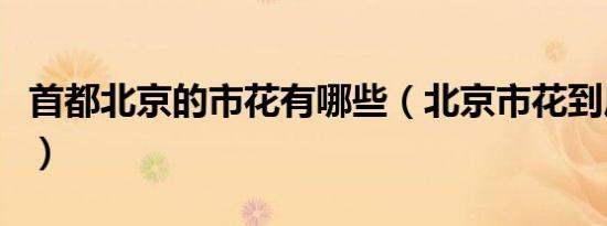 首都北京的市花有哪些（北京市花到底是什么）