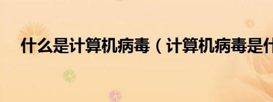 什么是计算机病毒（计算机病毒是什么）