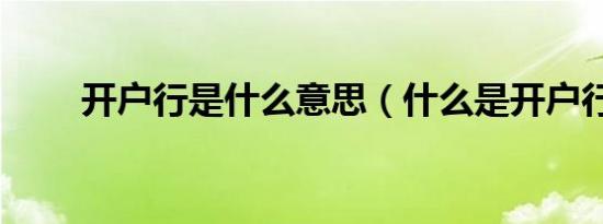 开户行是什么意思（什么是开户行）