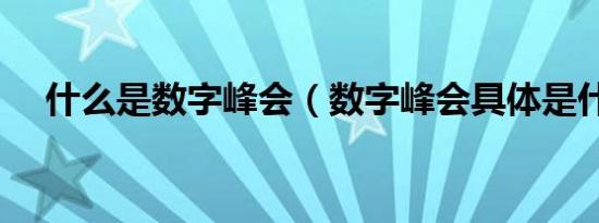 什么是数字峰会（数字峰会具体是什么）