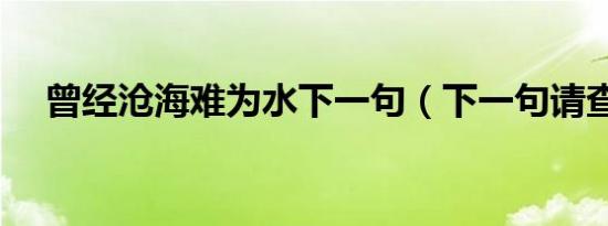 曾经沧海难为水下一句（下一句请查收）