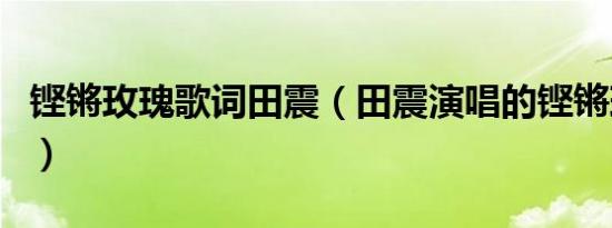 铿锵玫瑰歌词田震（田震演唱的铿锵玫瑰歌词）