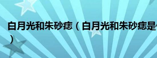 白月光和朱砂痣（白月光和朱砂痣是什么意思）