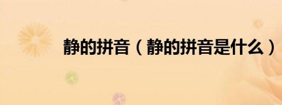 静的拼音（静的拼音是什么）