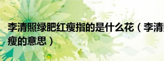 李清照绿肥红瘦指的是什么花（李清照绿肥红瘦的意思）
