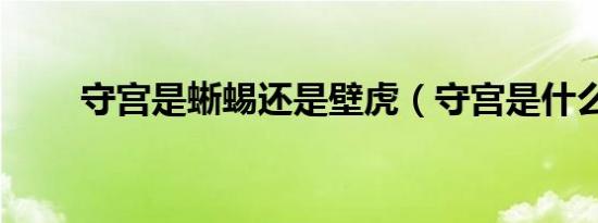 守宫是蜥蜴还是壁虎（守宫是什么）