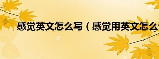 感觉英文怎么写（感觉用英文怎么说）