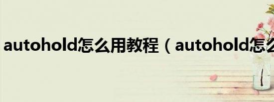 autohold怎么用教程（autohold怎么使用）