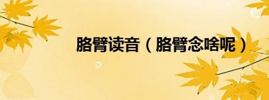 胳臂读音（胳臂念啥呢）
