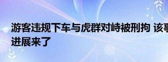 游客违规下车与虎群对峙被刑拘 该事件最新进展来了