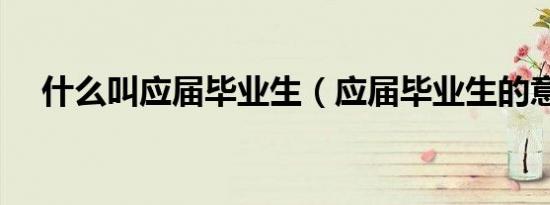 什么叫应届毕业生（应届毕业生的意思）