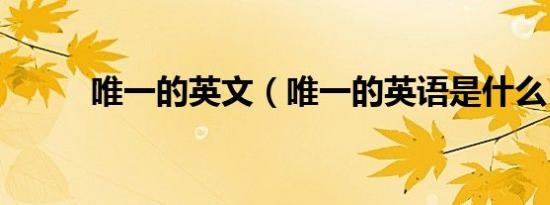 唯一的英文（唯一的英语是什么）
