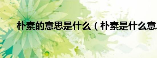 朴素的意思是什么（朴素是什么意思）