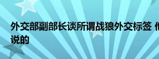 外交部副部长谈所谓战狼外交标签 他是怎么说的