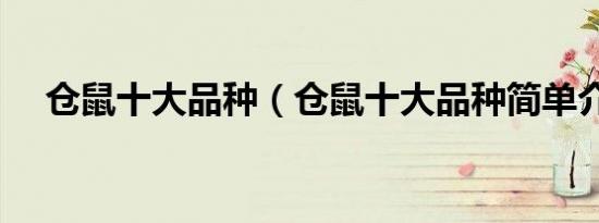 仓鼠十大品种（仓鼠十大品种简单介绍）