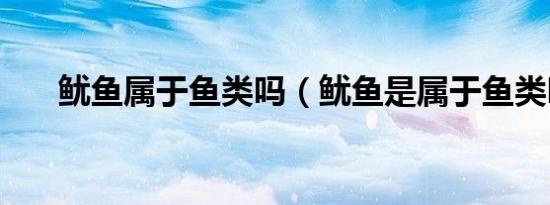 鱿鱼属于鱼类吗（鱿鱼是属于鱼类吗）