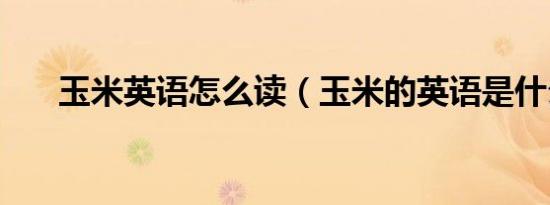玉米英语怎么读（玉米的英语是什么）