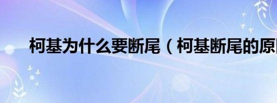 柯基为什么要断尾（柯基断尾的原因）