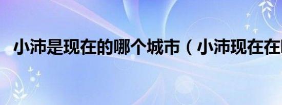 小沛是现在的哪个城市（小沛现在在哪里）