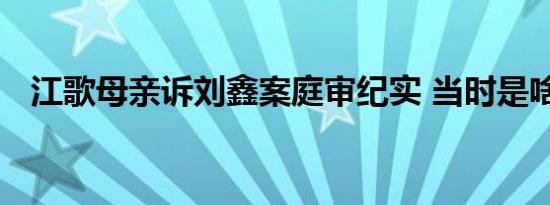 江歌母亲诉刘鑫案庭审纪实 当时是啥情况