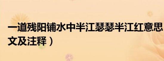 一道残阳铺水中半江瑟瑟半江红意思（全诗译文及注释）