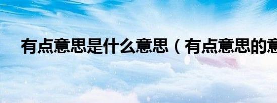 有点意思是什么意思（有点意思的意思）