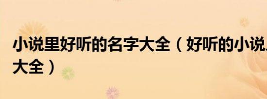 小说里好听的名字大全（好听的小说人物名字大全）