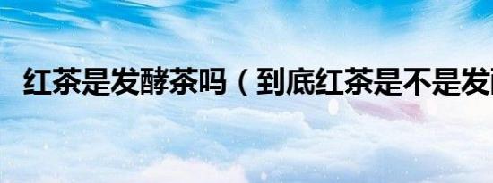 红茶是发酵茶吗（到底红茶是不是发酵茶）