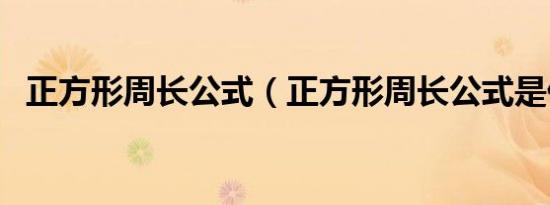 正方形周长公式（正方形周长公式是什么）