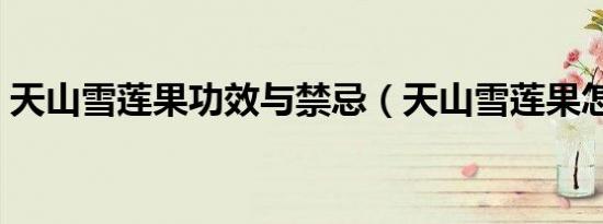 天山雪莲果功效与禁忌（天山雪莲果怎么吃）