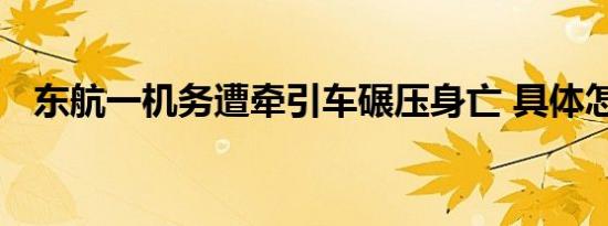 东航一机务遭牵引车碾压身亡 具体怎样的